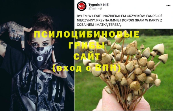 гашик Кукмор