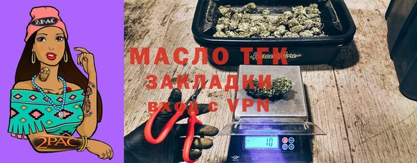 гидра Кулебаки