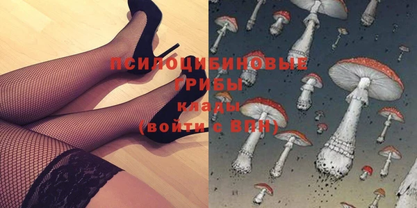 гашик Кукмор