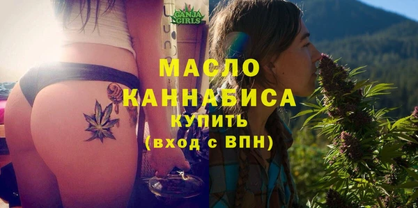 гидра Кулебаки