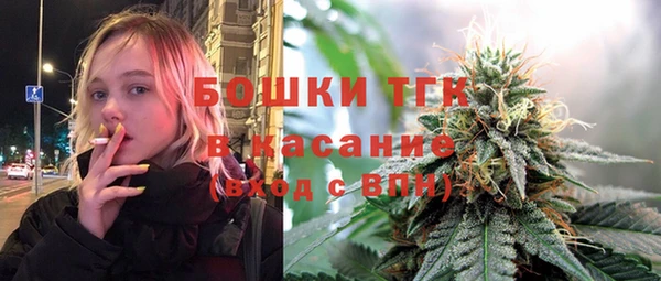 гидра Кулебаки
