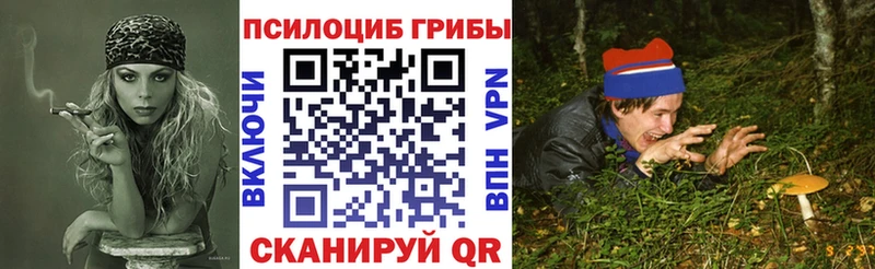 Галлюциногенные грибы мицелий  это формула  Струнино  kraken сайт 